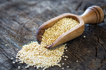 Healthy quinoa seeds