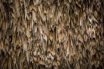 Straw pattern Thatch background