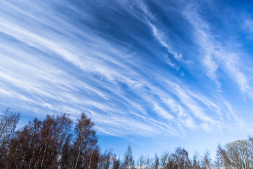 Long cirrus clouds skyscape