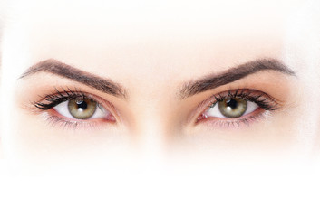 Closeup shot of woman eye with day makeup. Long eyelashes - 90993573