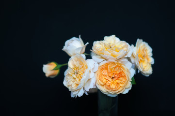 English roses