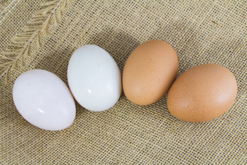 Organic Duck eggs vs Chicken eggs and preserved egg