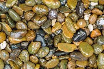 Fototapeta premium Stone Texture Background / Stone Texture / Closeup Stone Texture Background