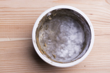 Closeup of mould growing on a food.