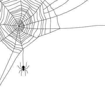 Spider And Web Isolated On White, Vector