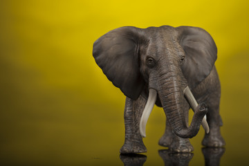 Fototapeta na wymiar Elefante giocattolo su sfondo giallo