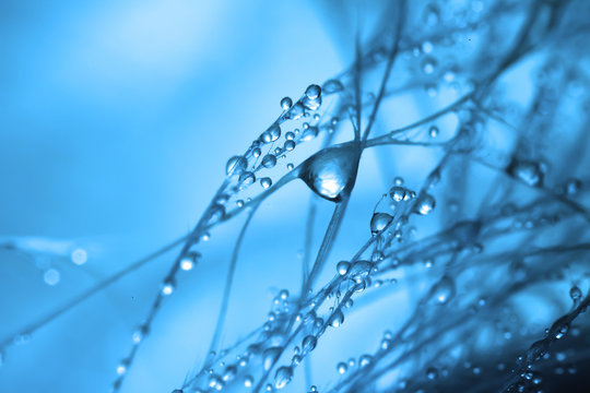 Abstraction in blue tones