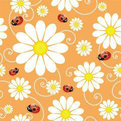 Daisy seamless summer background with ladybugs