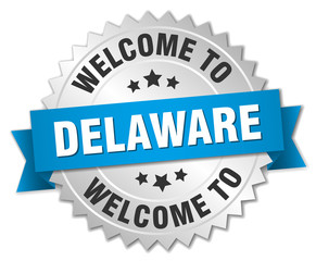 Delaware 3d silver badge with blue ribbon