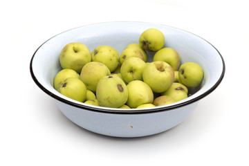 apples on the white background