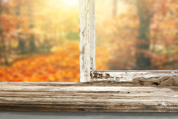 window 