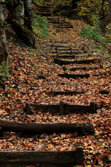 Obraz premium Hungarian countryside