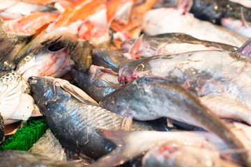 Raw fish in market