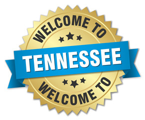 Tennessee 3d gold badge with blue ribbon