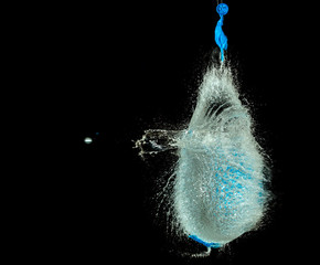 high speed photo of bursting balloon