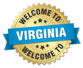 Virginia 3d gold badge with blue ribbon