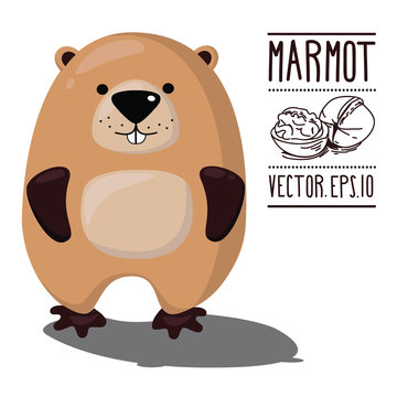 Vector illustration.