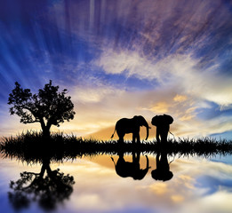 Fototapeta na wymiar elefantes en el lago