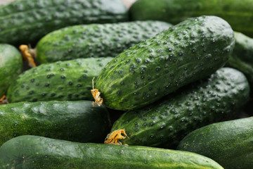 Fresh cucumbers background