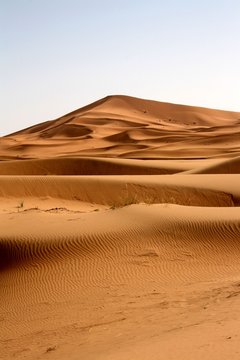 Maroc, Sahara, les dunes
