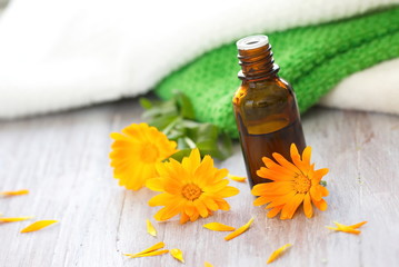 Calendula essential aroma oil