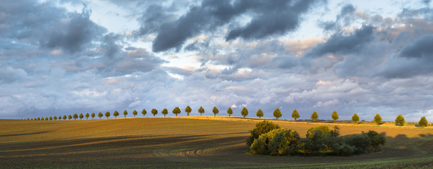 jesień na polach © Mike Mareen