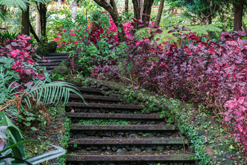 Fototapeta na wymiar stairway in the garden 