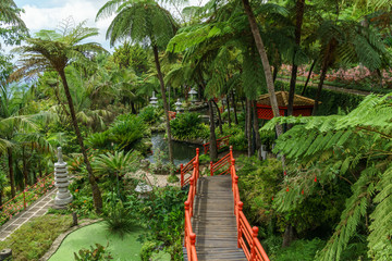 Asian corner in Monte tropical garden , Madeira