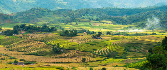 Naklejka premium Rice fields on terraced in Sapa, Lao cai, Vietnam. 