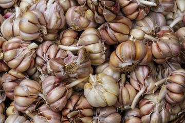 garlic pile in the market