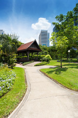 Fototapeta premium Lumphini Park; Bangkok