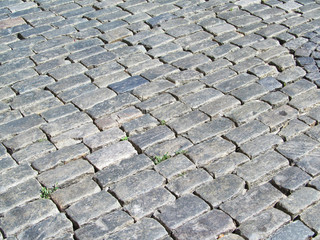 pavement

