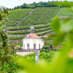 Belvedere Wackerbarth
