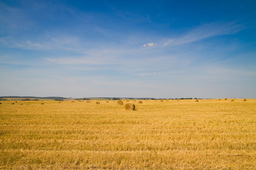 Fototapeta premium sheaf of hay in the field