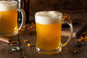 Golden Beer in a Glass Stein
