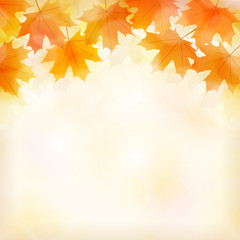 Fall photos, royalty-free images, graphics, vectors & videos | Adobe Stock