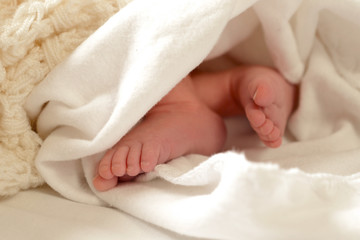 Obraz na płótnie Canvas Newborn