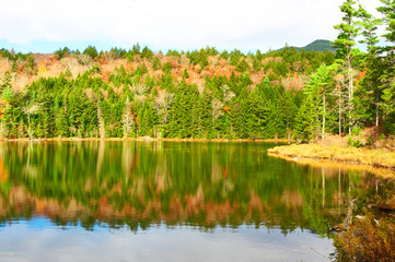 Pond in White Mountain National Forest, New Hampshire