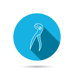 Dental pliers icon. Stomatological forceps tool.