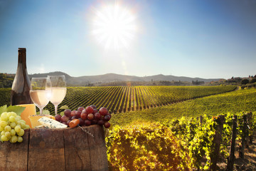 White wine with barrel on vineyard in Chianti, Tuscany, Italy