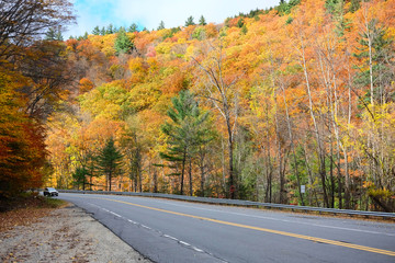 Obraz premium Autumn scene with road