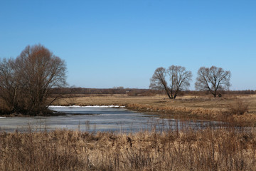 Early spring landscape
