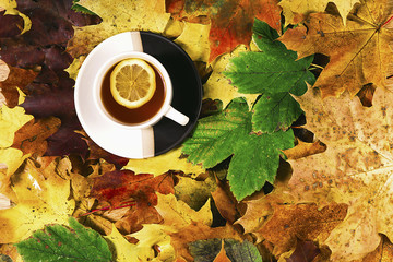 Herbata z cytryną i jesienne liście - obrazy, fototapety, plakaty