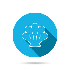 Sea shell icon. Seashell sign.