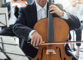Fototapeta premium Professional cello player