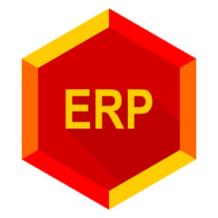 erp flat design modern icon