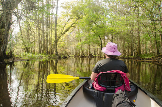 Woman in Canoe on Hillsborough River, Florida