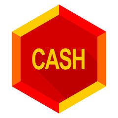 cash flat design modern icon