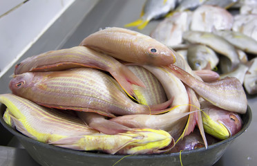 fresh fish on the counter in the market, cleaning fish, seafood