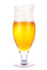 Frosty glass of light beer isolated